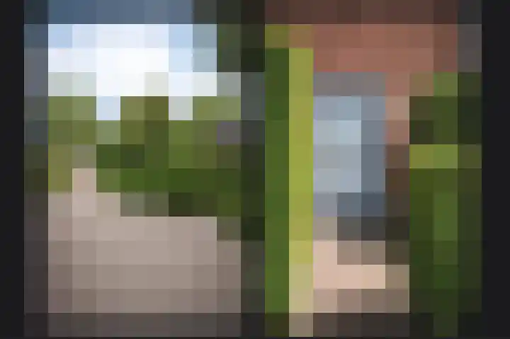 Florastraat 72 Boven-Leeuwen thumbnail 30
