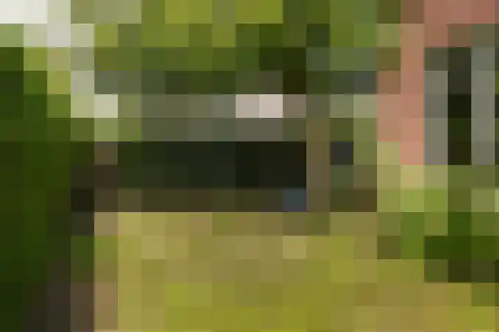 Florastraat 72 Boven-Leeuwen thumbnail 6