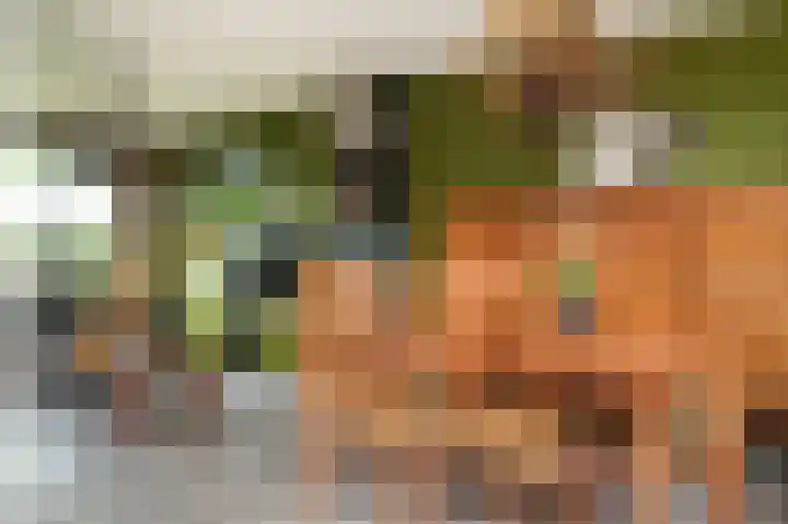Florastraat 72 Boven-Leeuwen thumbnail 7