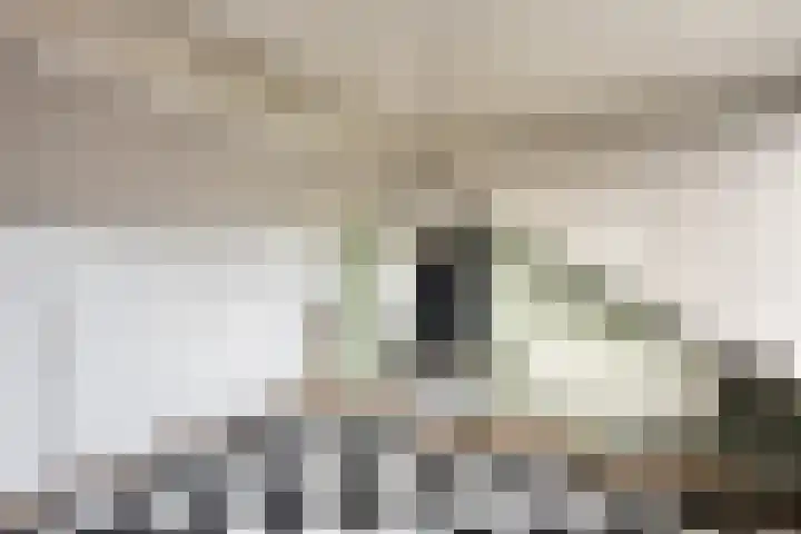 Florastraat 87 Wormer thumbnail 28