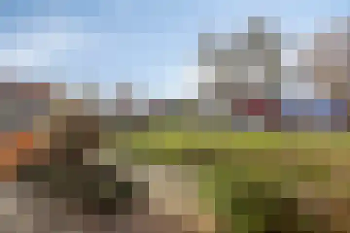 Florastraat 87 Wormer thumbnail 33