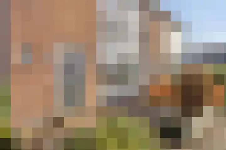 Florastraat 87 Wormer thumbnail 34