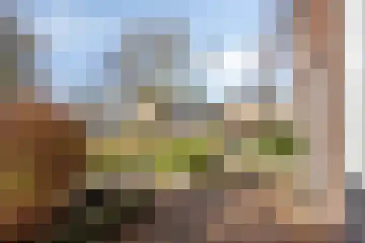 Florastraat 87 Wormer thumbnail 35