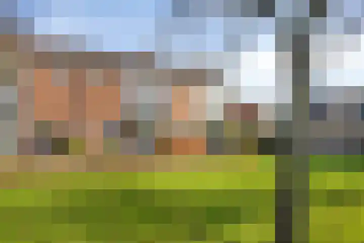 Florastraat 87 Wormer thumbnail 36