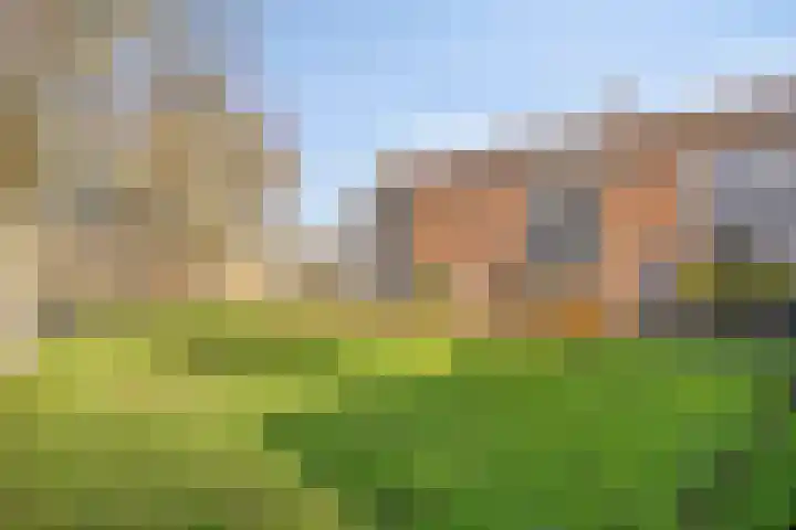 Florastraat 87 Wormer thumbnail 37