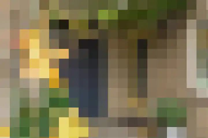 Florastraat 9 Krimpen aan de Lek thumbnail 24