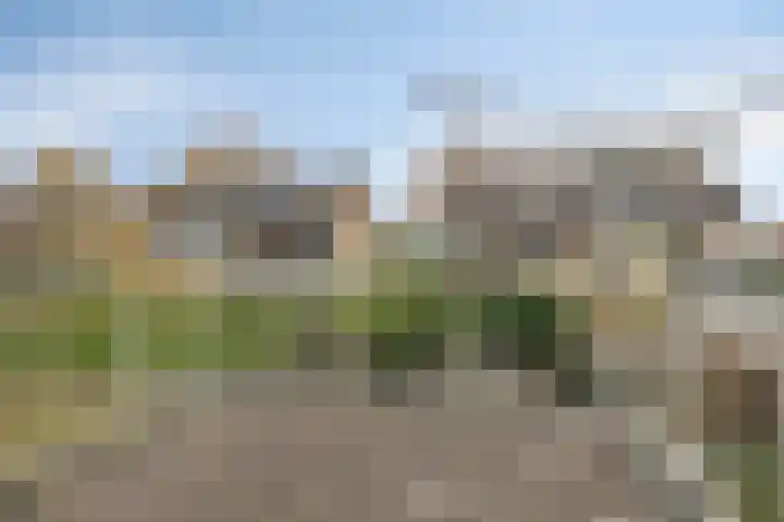 Florastraat 9 Krimpen aan de Lek thumbnail 26