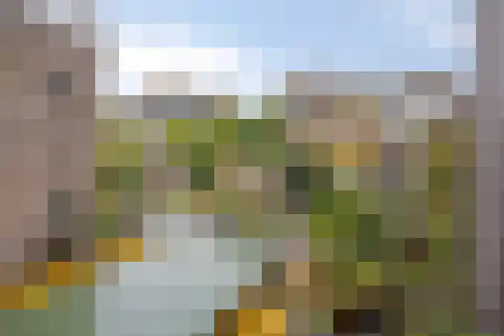 Florastraat 9 Krimpen aan de Lek thumbnail 27