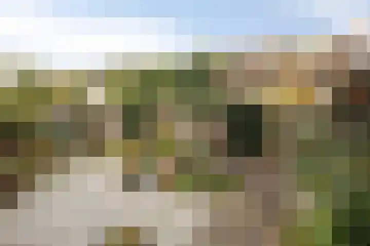 Florastraat 9 Krimpen aan de Lek thumbnail 28