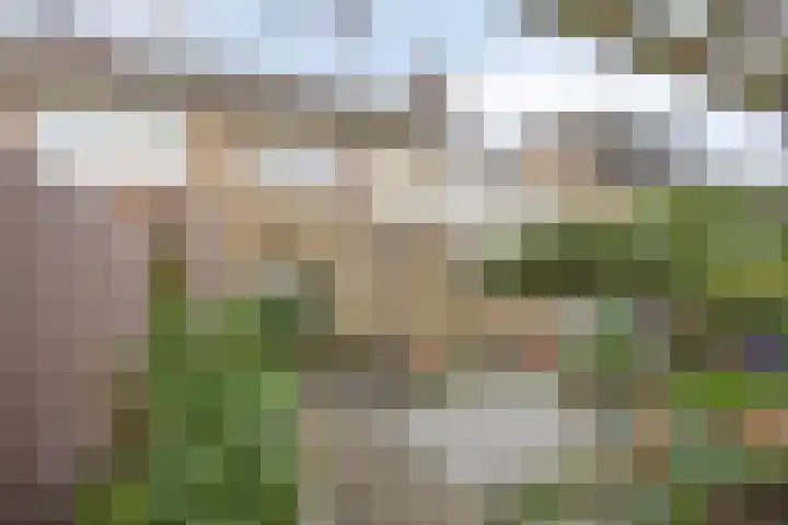 Florastraat 9 Krimpen aan de Lek thumbnail 31