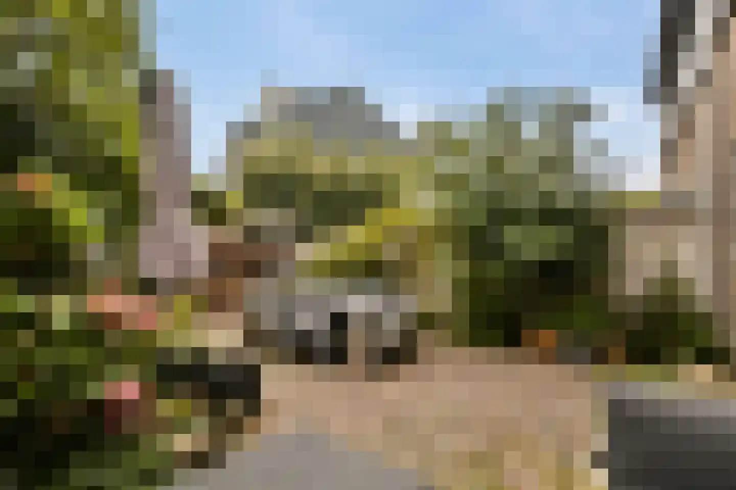 Floraweg 11 Vreeland thumbnail 26