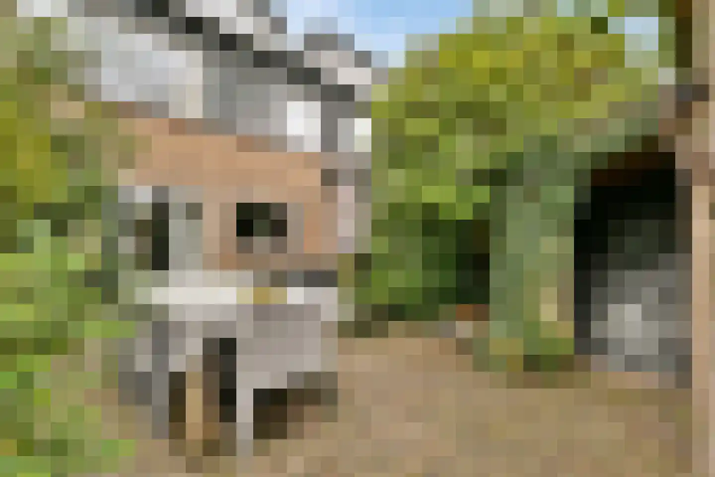 Floraweg 11 Vreeland thumbnail 27