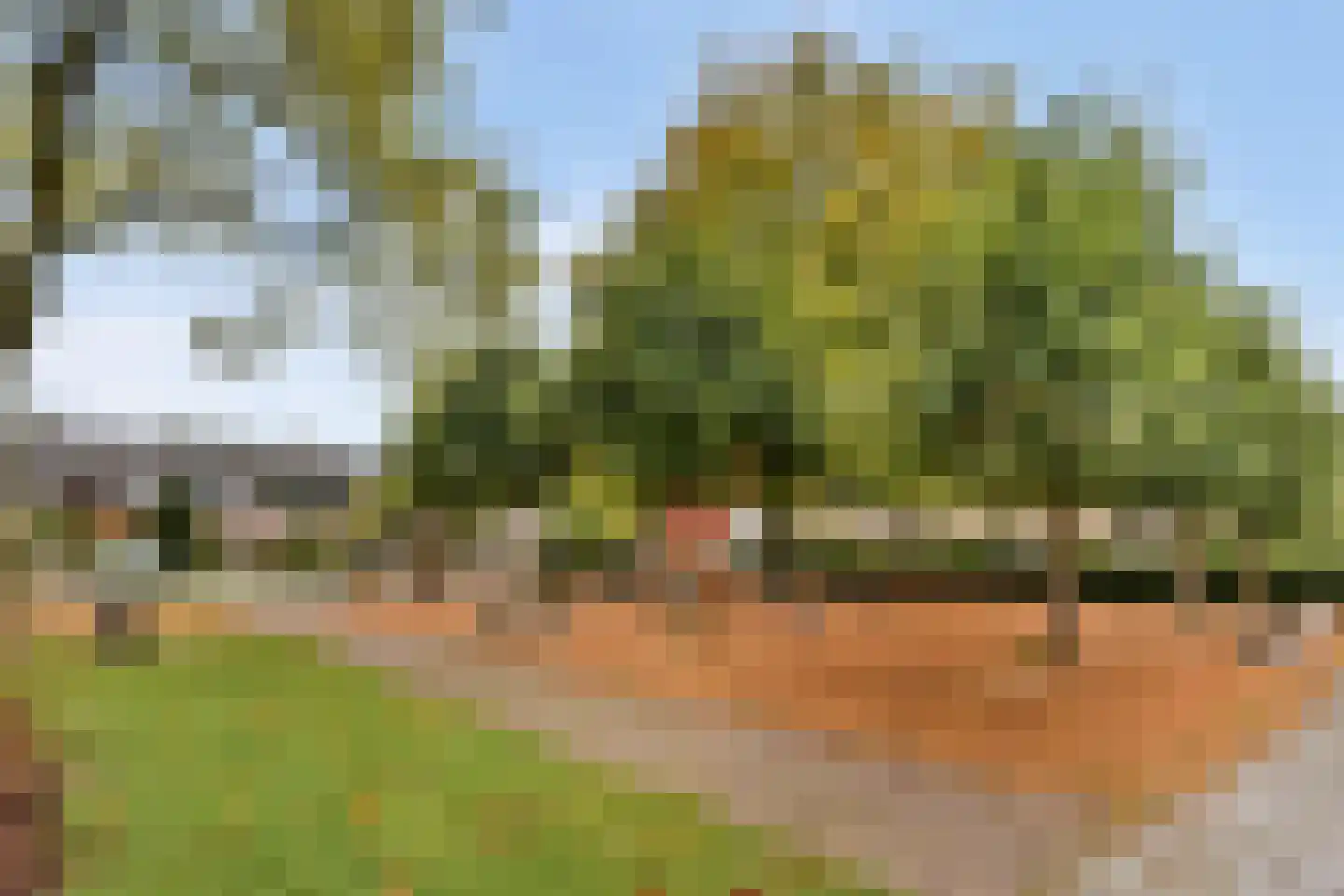 Floraweg 11 Vreeland thumbnail 29