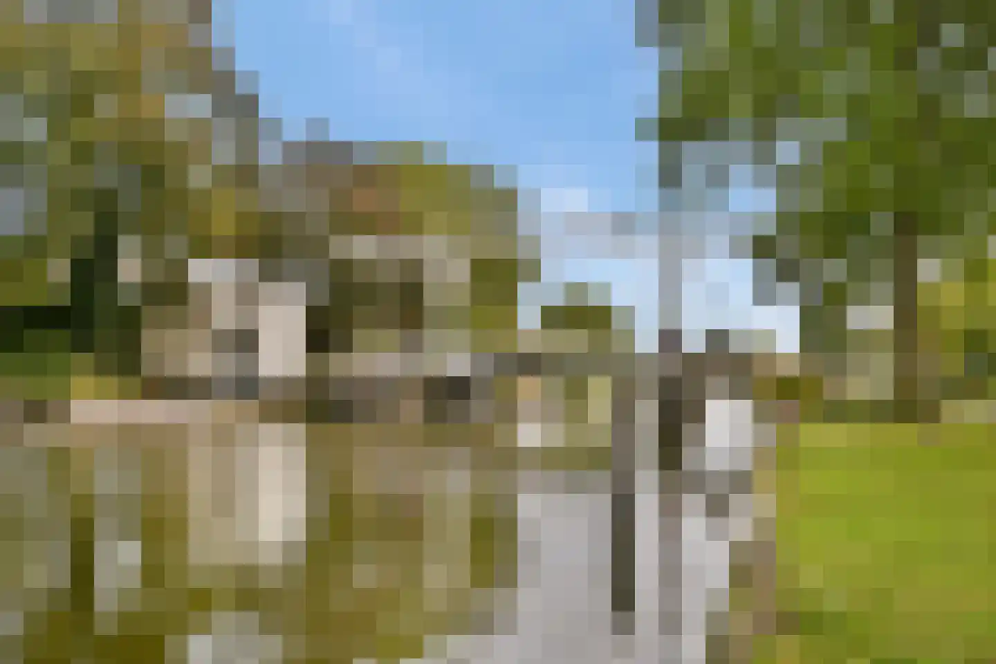 Floraweg 11 Vreeland thumbnail 30