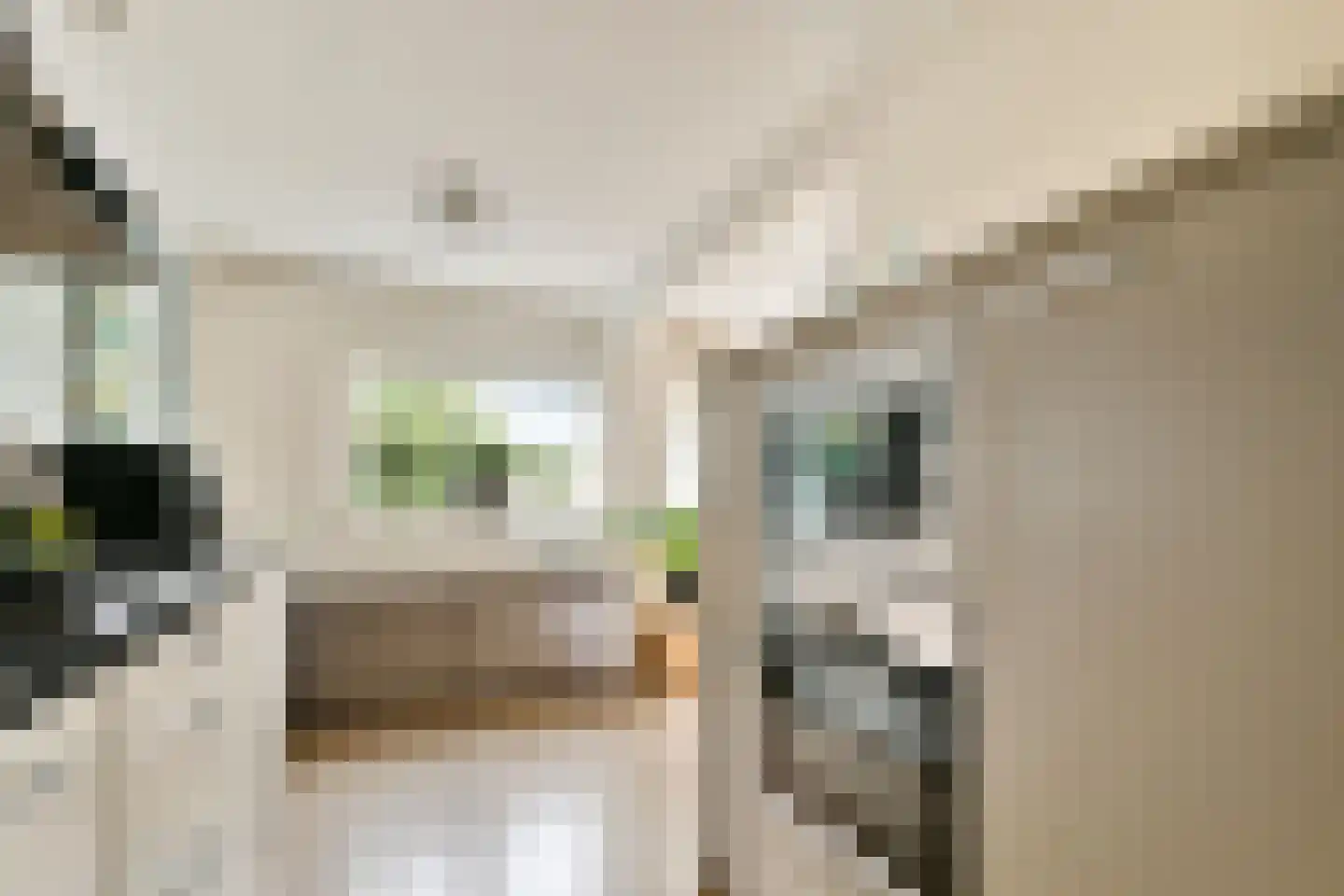 Floraweg 11 Vreeland thumbnail 7