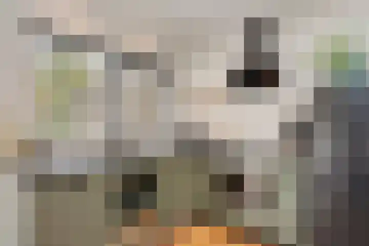 Floraweg 17 Nijmegen thumbnail 13