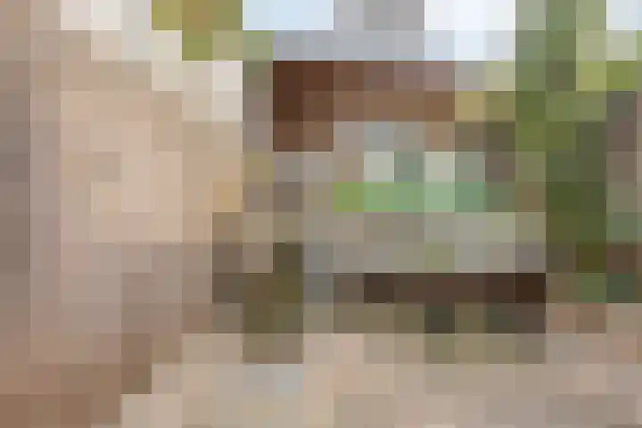 Floraweg 17 Nijmegen thumbnail 36