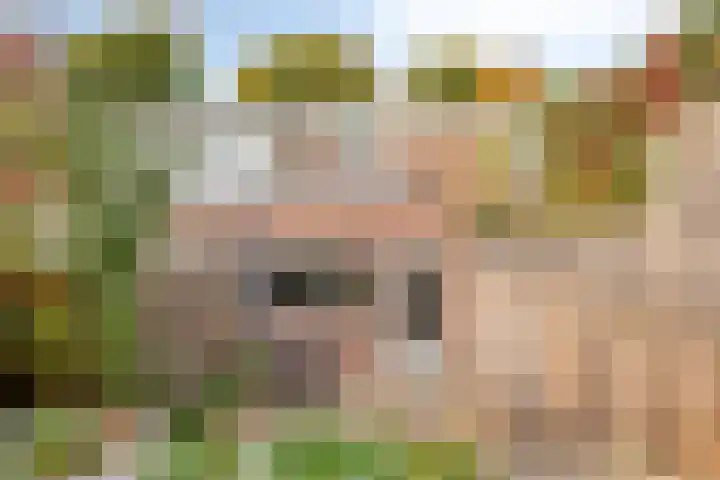 Floraweg 17 Nijmegen thumbnail 37
