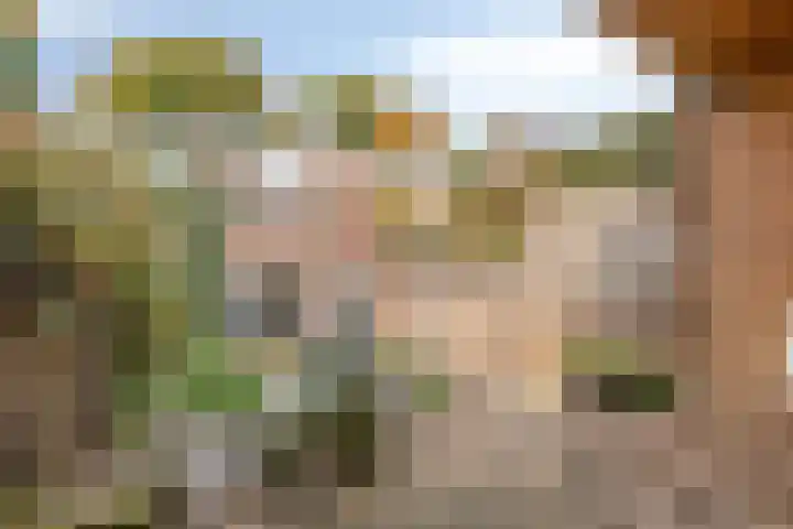 Floraweg 17 Nijmegen thumbnail 38