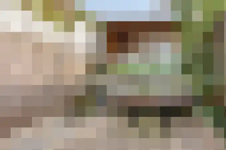 Floraweg 17 Nijmegen thumbnail 4