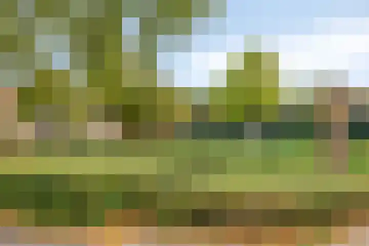 Floraweg 17 Nijmegen thumbnail 47