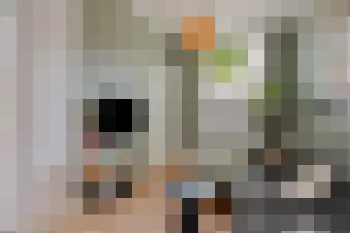 Floraweg 17 Nijmegen thumbnail 7