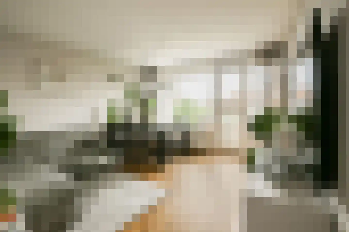 Floraweg 51 Amsterdam thumbnail 5