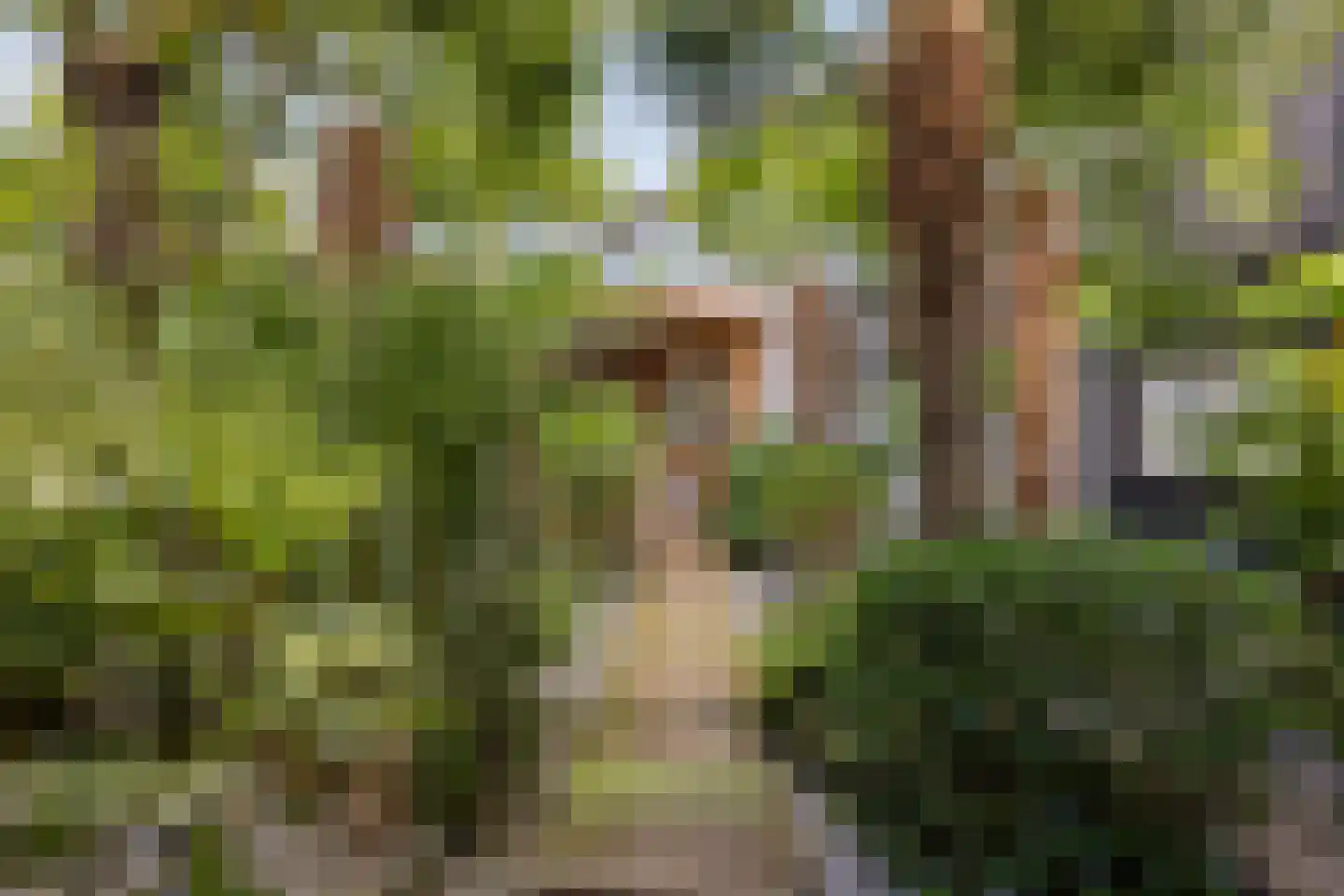 Floraweg 51 Roelofarendsveen thumbnail 20