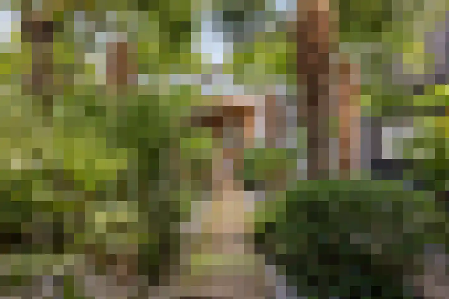 Floraweg 51 Roelofarendsveen thumbnail 21