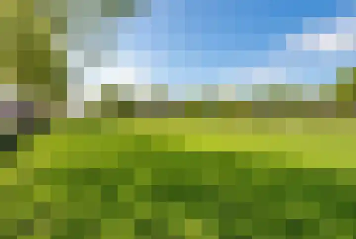 Floraweg 69 Amsterdam thumbnail 30