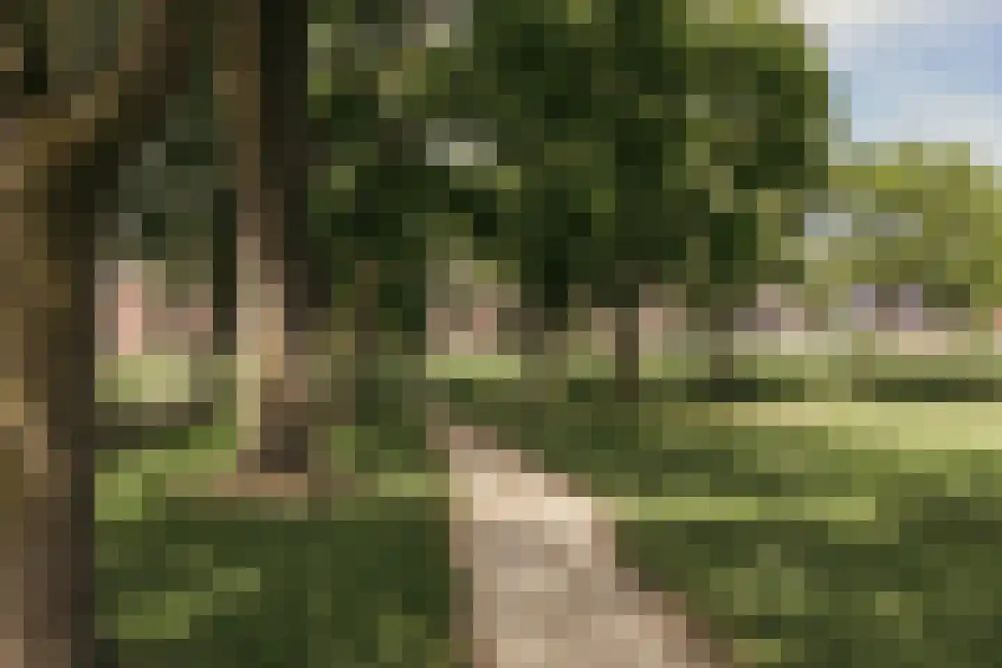 Floraweg 79 Amsterdam thumbnail 33