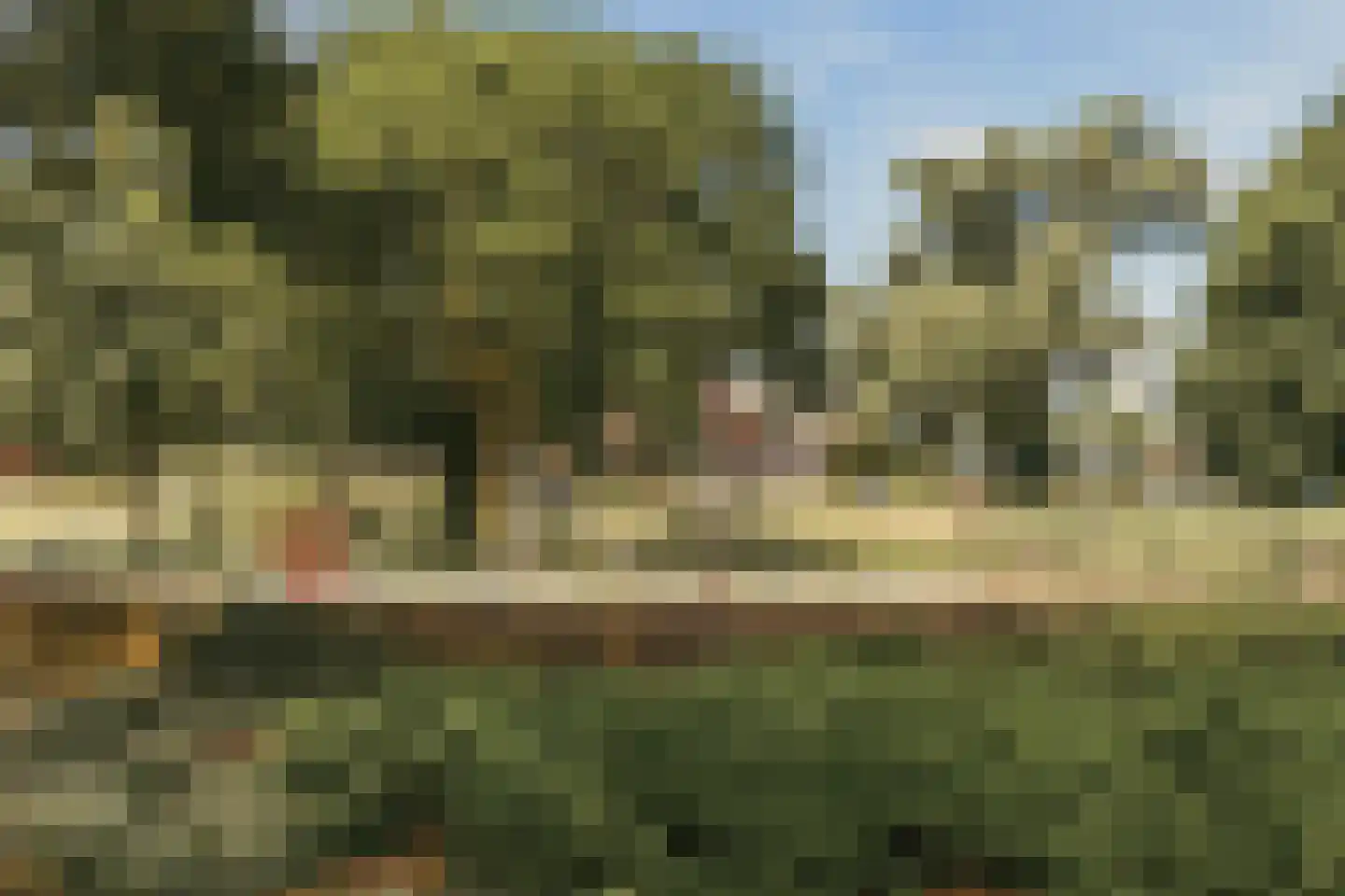 Floraweg 79 Amsterdam thumbnail 35