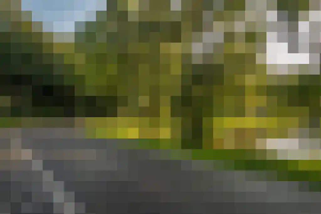 Floraweg 79 Amsterdam thumbnail 39