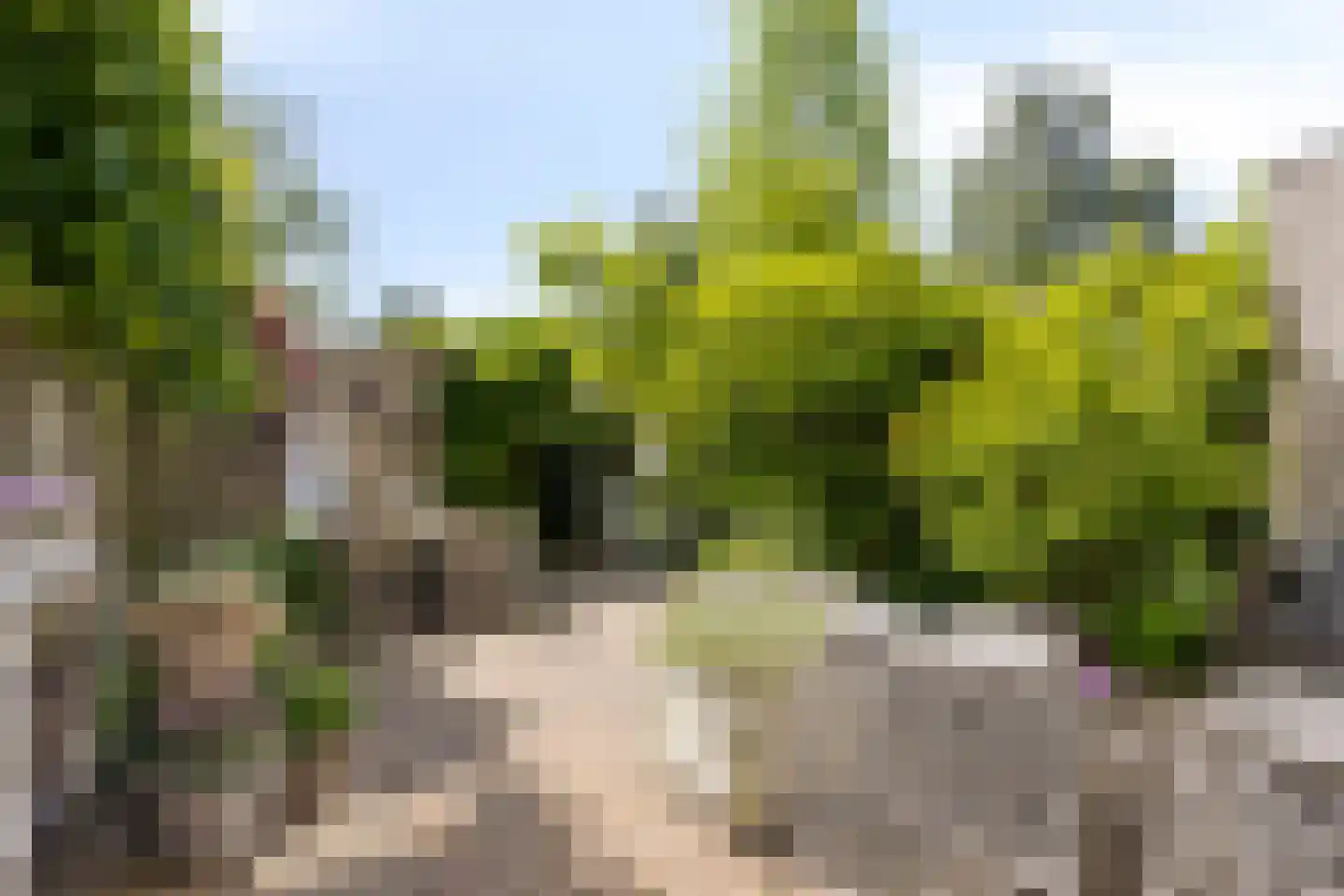 Florazoom 22 Zoetermeer thumbnail 12