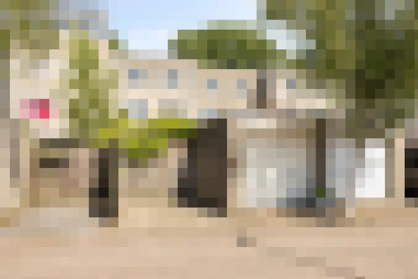 Florazoom 22 Zoetermeer thumbnail 13