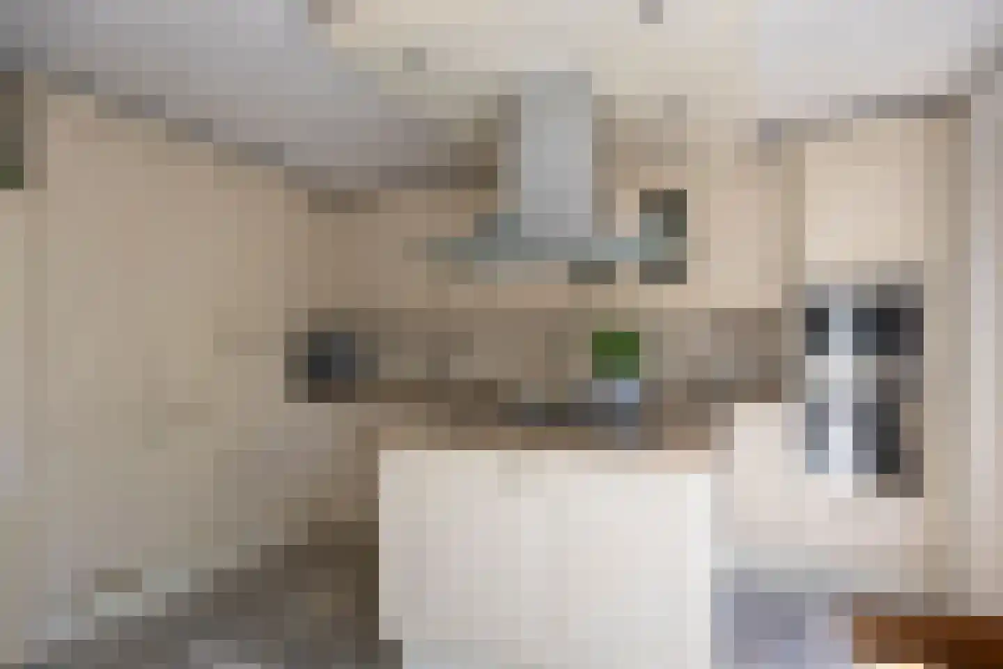 Florazoom 22 Zoetermeer thumbnail 14
