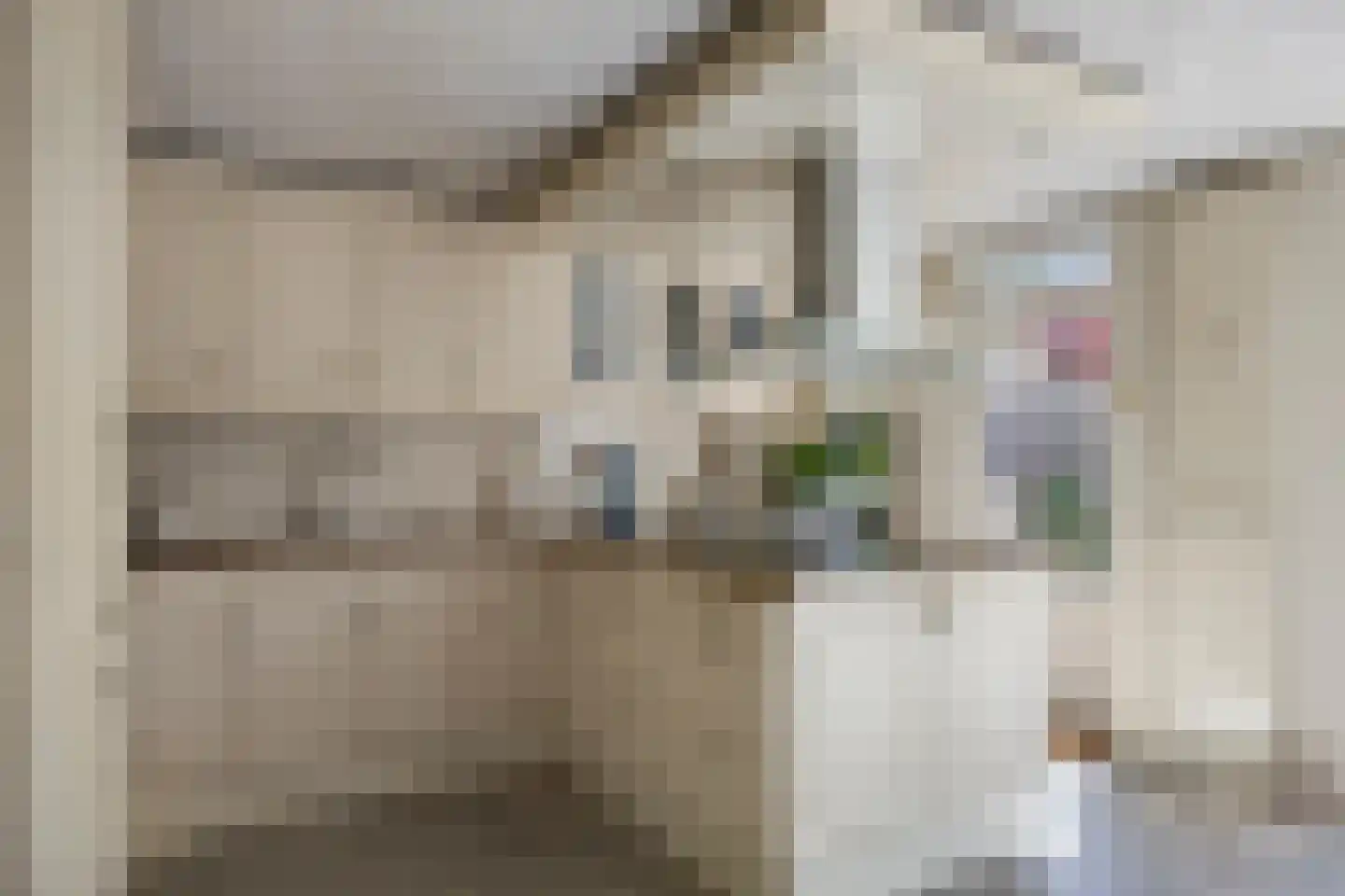 Florazoom 22 Zoetermeer thumbnail 15