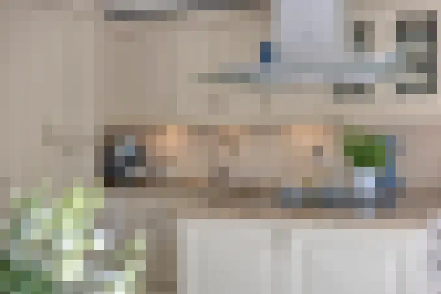 Florazoom 22 Zoetermeer thumbnail 17