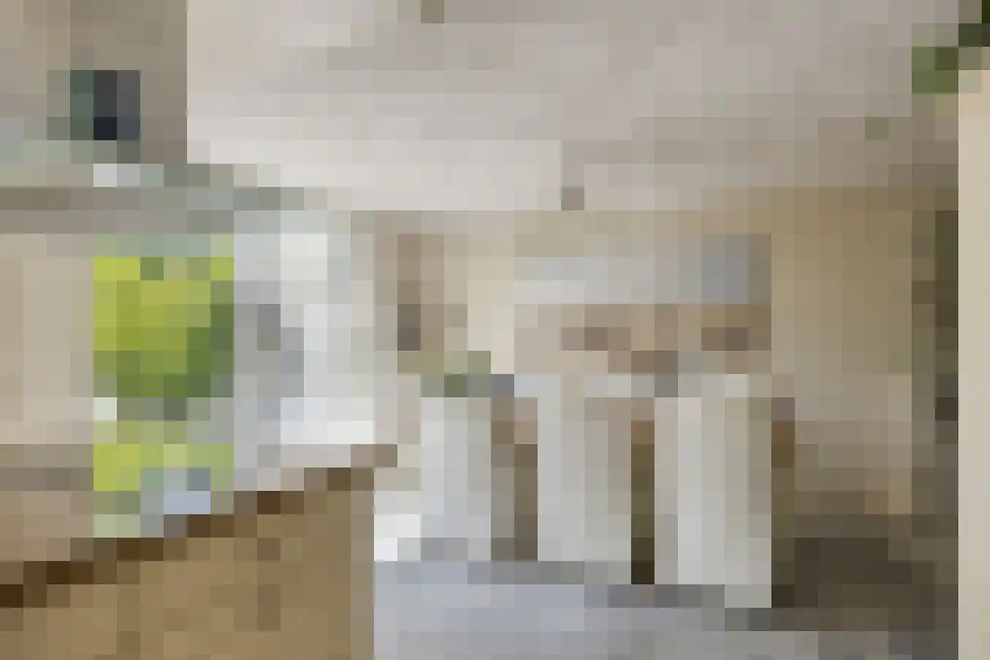 Florazoom 22 Zoetermeer thumbnail 19