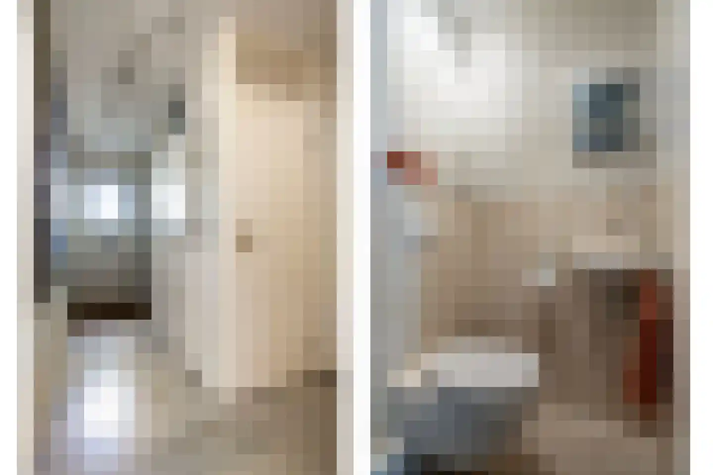 Florazoom 22 Zoetermeer thumbnail 21