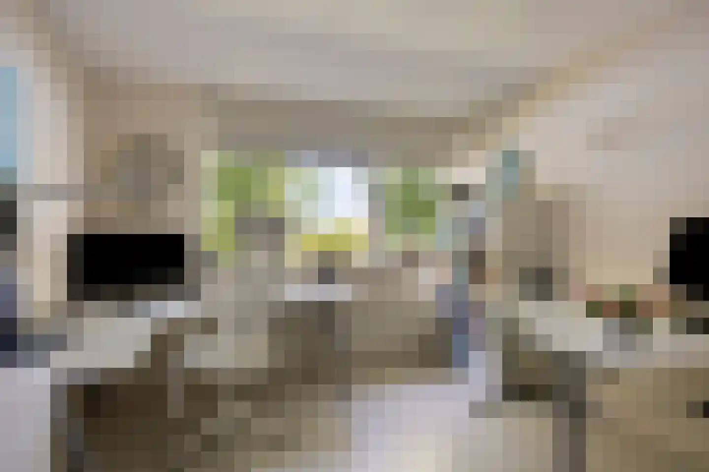Florazoom 22 Zoetermeer thumbnail 23