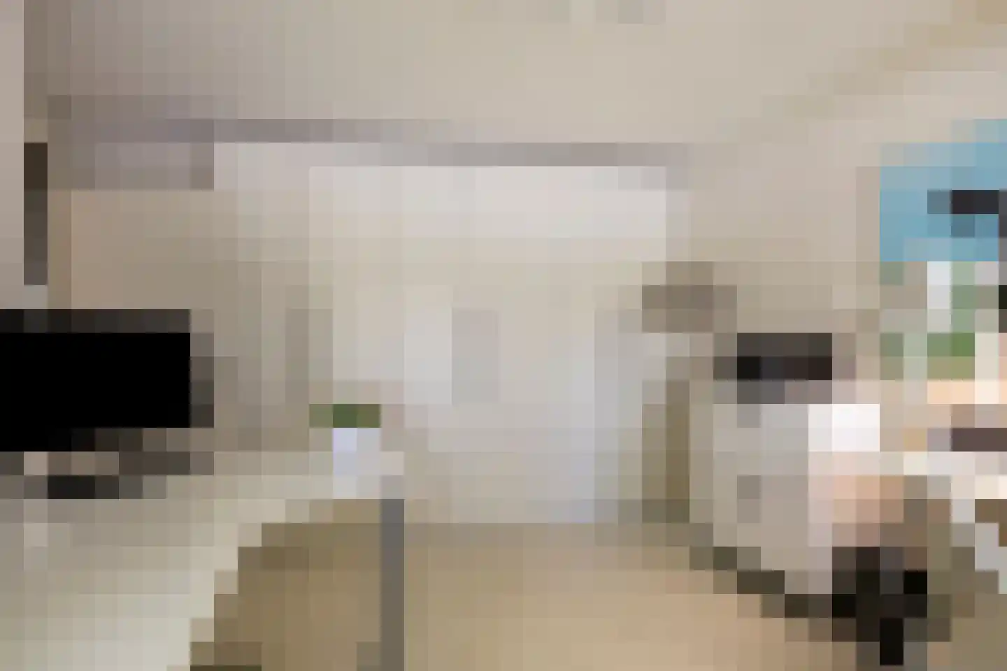 Florazoom 22 Zoetermeer thumbnail 24