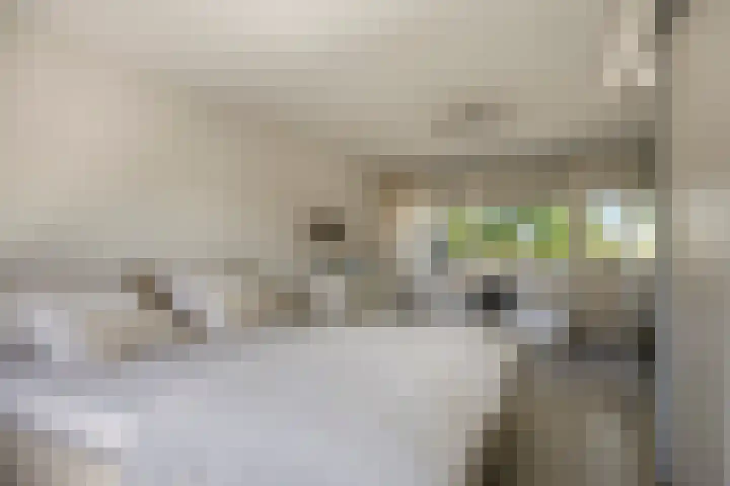 Florazoom 22 Zoetermeer thumbnail 39