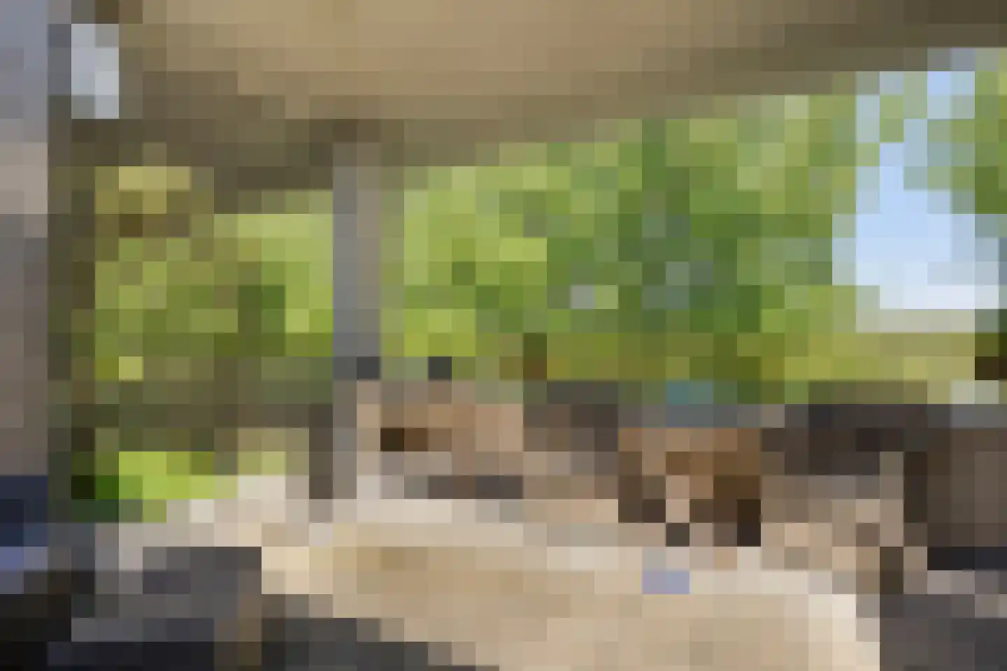 Florazoom 22 Zoetermeer thumbnail 41