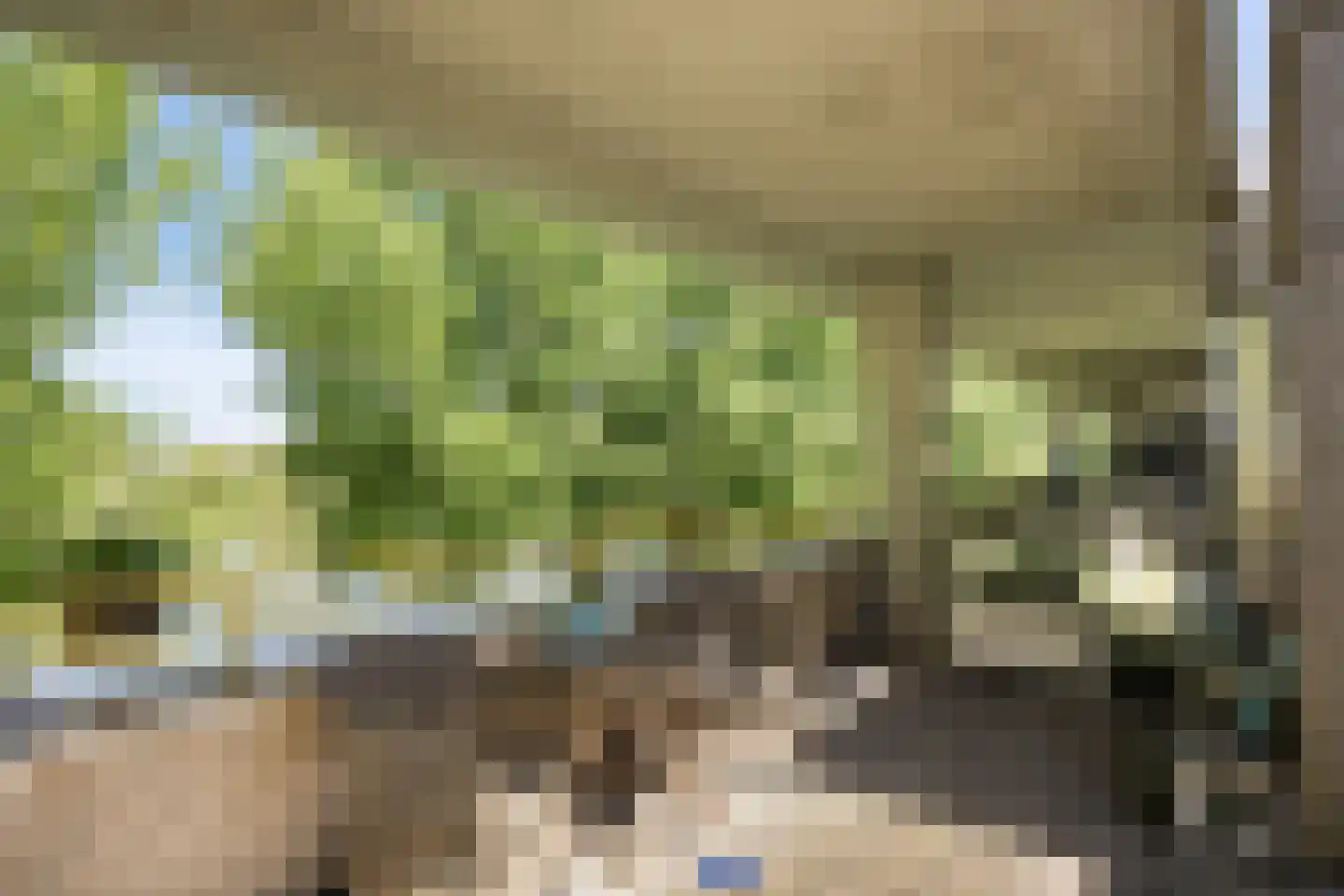 Florazoom 22 Zoetermeer thumbnail 42
