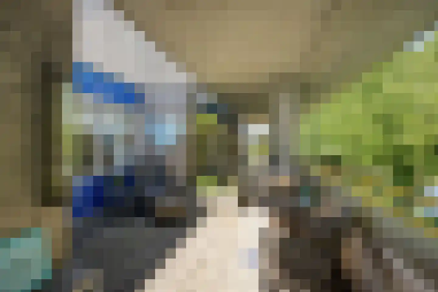 Florazoom 22 Zoetermeer thumbnail 43