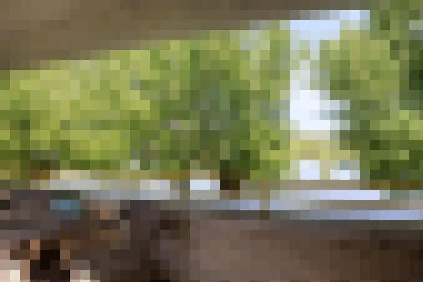 Florazoom 22 Zoetermeer thumbnail 44