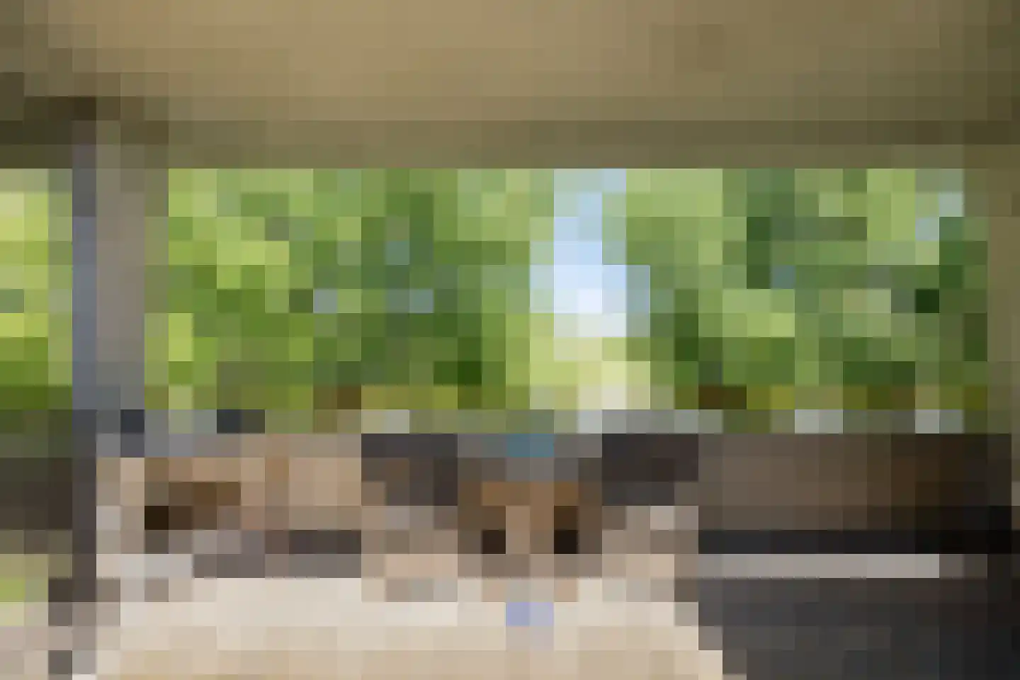 Florazoom 22 Zoetermeer thumbnail 45