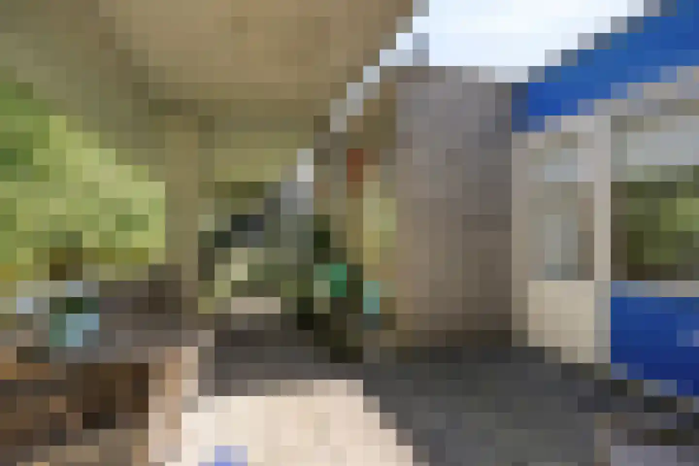 Florazoom 22 Zoetermeer thumbnail 46