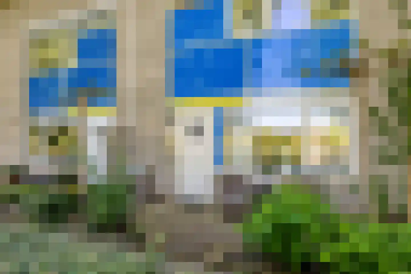 Florazoom 22 Zoetermeer thumbnail 52
